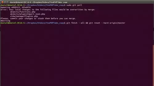 Force Git to Overwrite files
